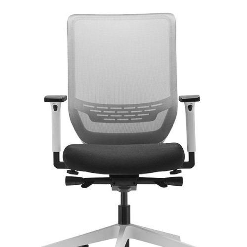 Dauphin to-Sync white